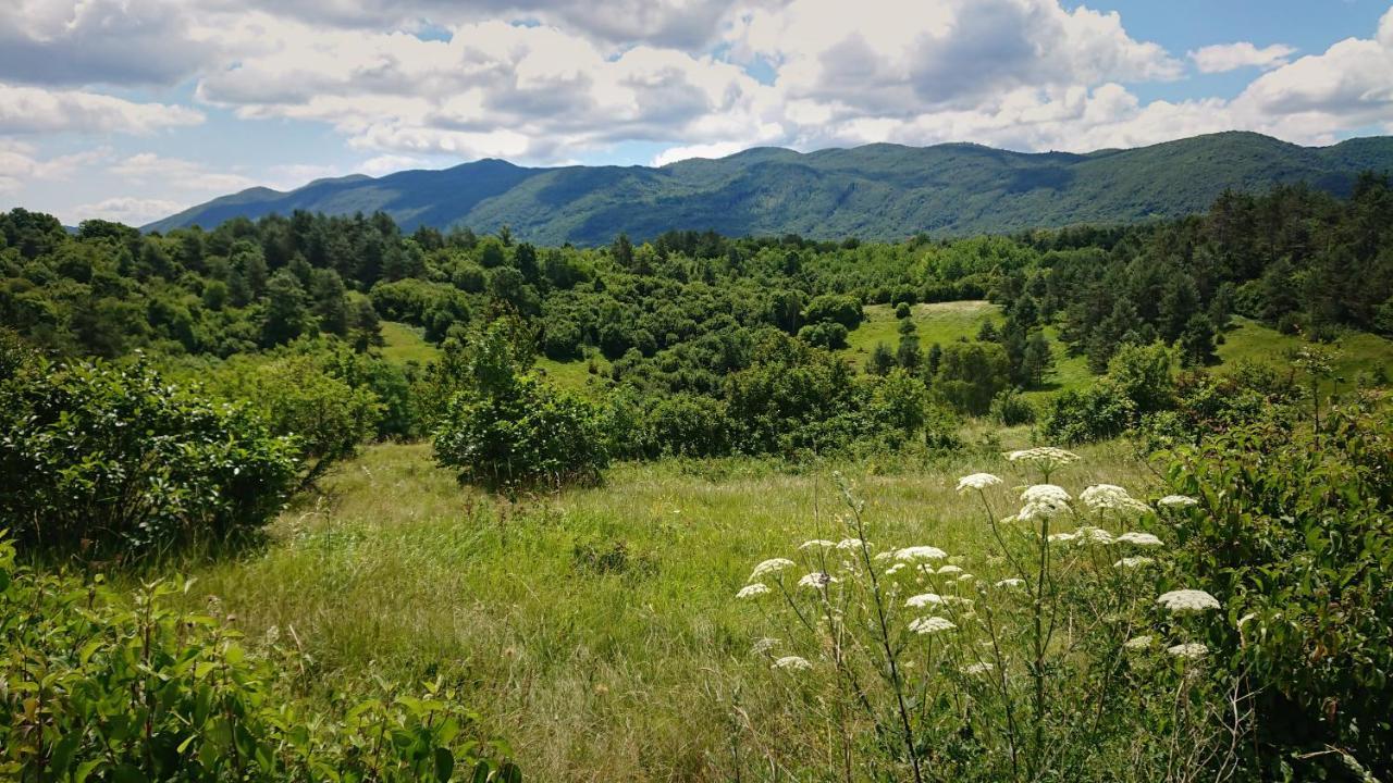 Villa Bora With Sauna And Heated Pool Vele Mune Екстериор снимка
